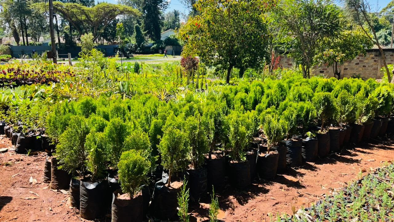 TGAK Gallery Photo 3