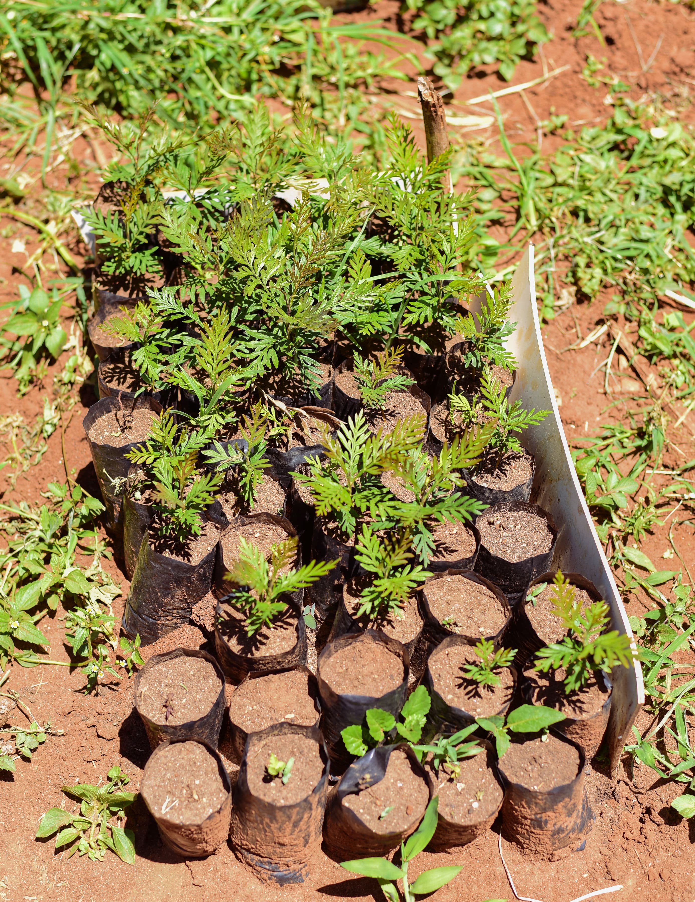 TGAK Gallery Photo 6